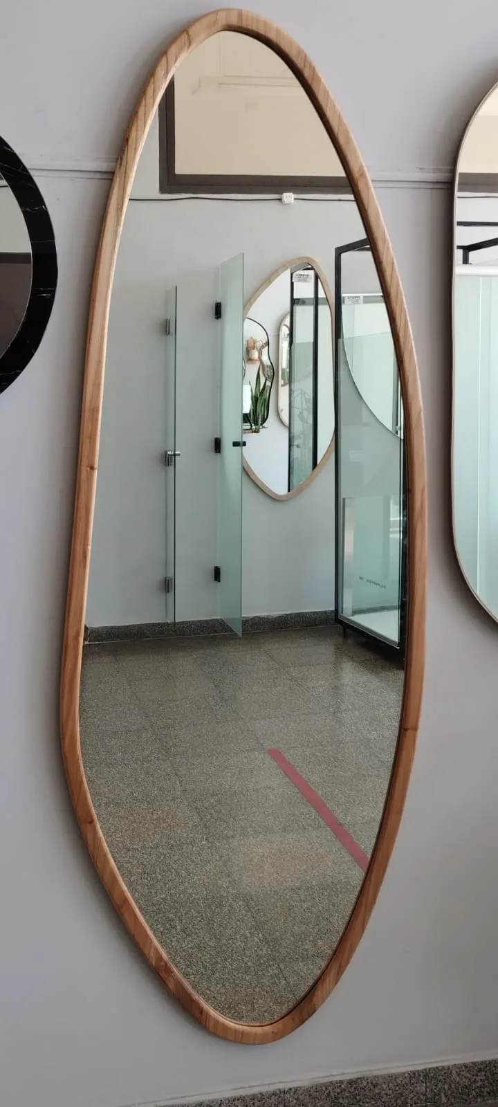 Modelo Orgánico PUA